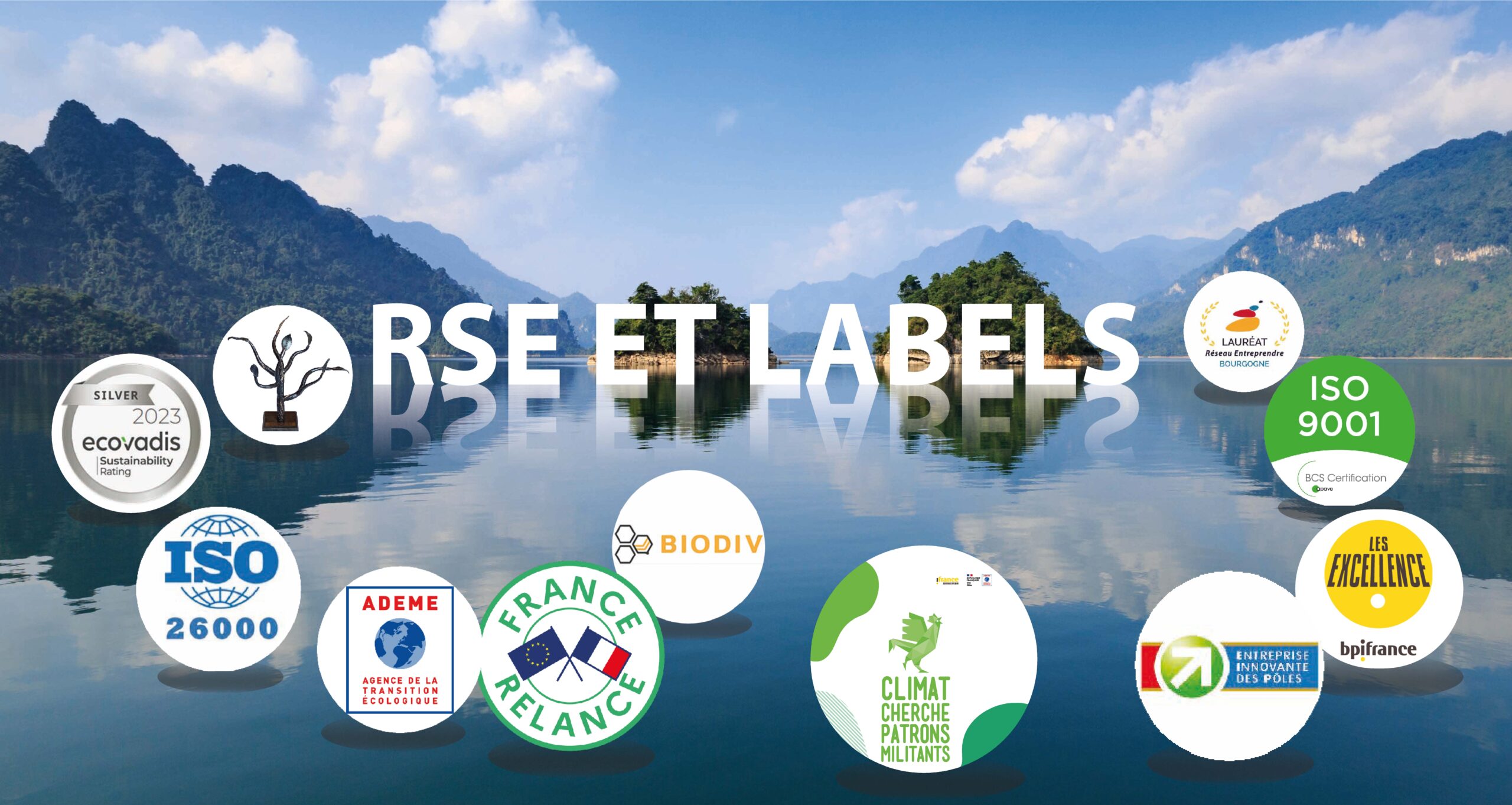 RSE & LABELS